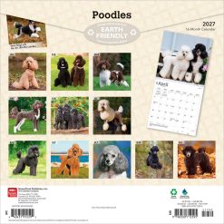 Alternative view of Poodles 2027 Square