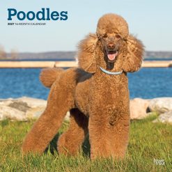 Poodles 2027 Square