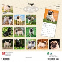 Alternative view of Pugs 2027 Square
