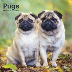 Pugs 2027 Square