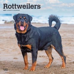 Rottweilers 2027 Square