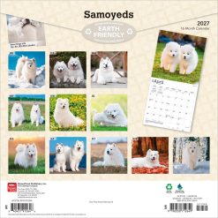 Alternative view of Samoyeds 2027 Square