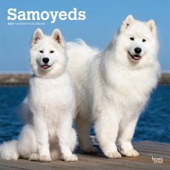 Samoyeds 2027 Square