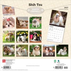 Alternative view of Shih Tzu 2027 Square