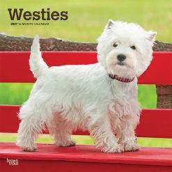West Highland White Terriers 2027 Square