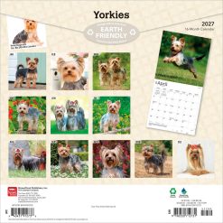 Alternative view of Yorkshire Terriers 2027 Square