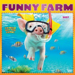 Avanti Funny Farm 2027 Square FOIL