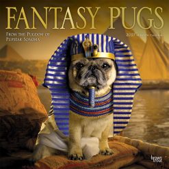Fantasy Pugs 2027 Square FOIL