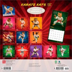 Alternative view of Karate Kats 2027 Square