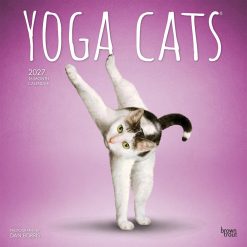 Yoga Cats 2027 Square