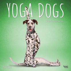 Yoga Dogs 2027 Square