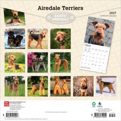 Alternative view of Airedale Terriers 2027 Square