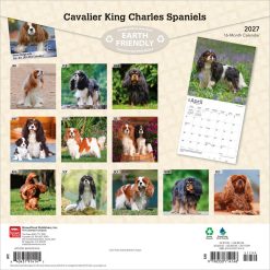 Alternative view of Cavalier King Charles Spaniels 2027 Square