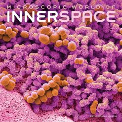 Microscopic World of Innerspace 2027 Square