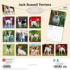 Alternative view of Jack Russell Terriers 2027 Square