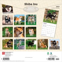 Alternative view of Shiba Inu 2027 Square