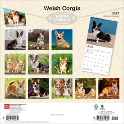 Alternative view of Welsh Corgis 2027 Square