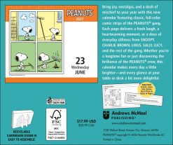 Alternative view of PEANUTS 2027 Boxed