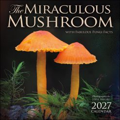 Miraculous Mushroom 2027 Square