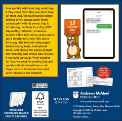 Alternative view of Texts from Dog 2027 Boxed