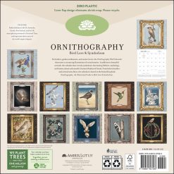 Alternative view of Ornithography 2027 Square