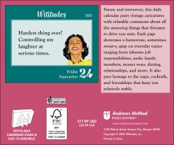 Alternative view of Wititudes 2027 Boxed