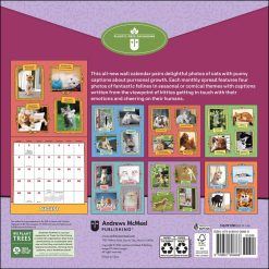 Alternative view of Cats Are Cheaper Than Therapy 2027 Square
