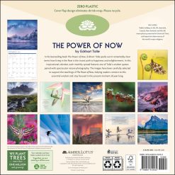 Alternative view of Power of Now 2027 Square