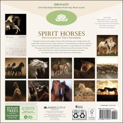 Alternative view of Spirit Horses by Tony Stromberg 2027 Square