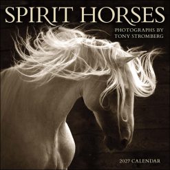 Spirit Horses by Tony Stromberg 2027 Square