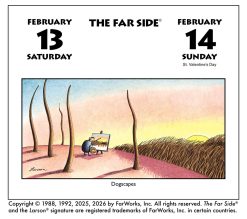 Alternative view of Far Side 2027 Off-The-Wall Boxed