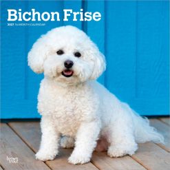 Bichon Frise 2027 Square Wall Calendar