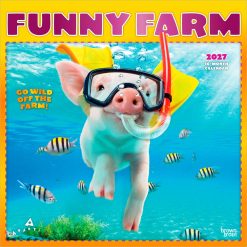 Avanti Funny Farm 2027 FOIL Square Wall Calendar