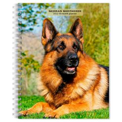 Alternative view of German Shepherds 2027 Engagement