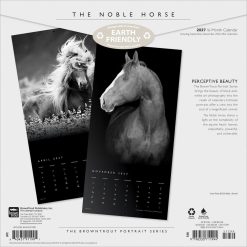 Alternative view of The Noble Horse, The BT Portrait Series 2027 Square