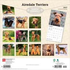 Alternative view of Airedale Terriers 2027 Square Wall Calendar