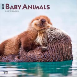 Baby Animals 2027 Square