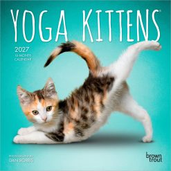 Yoga Kittens 2027 Mini