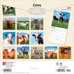 Alternative view of Cows 2027 Square