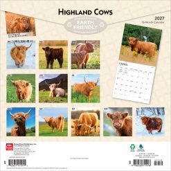 Alternative view of Highland Cows 2027 Square