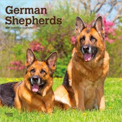 German Shepherds 2027 Square Wall Calendar
