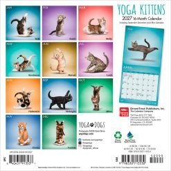 Alternative view of Yoga Kittens 2027 Mini