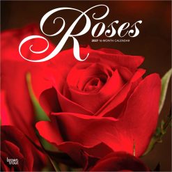 Roses 2027 Square