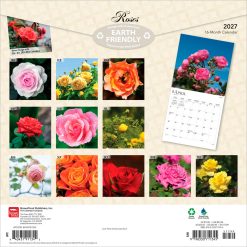 Alternative view of Roses 2027 Square