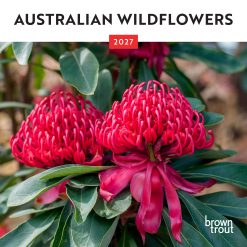 Australian Wildflowers 2027 Mini Square Wall Calendar