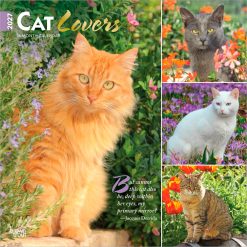 Cat Lovers 2027 FOIL Square Wall Calendar